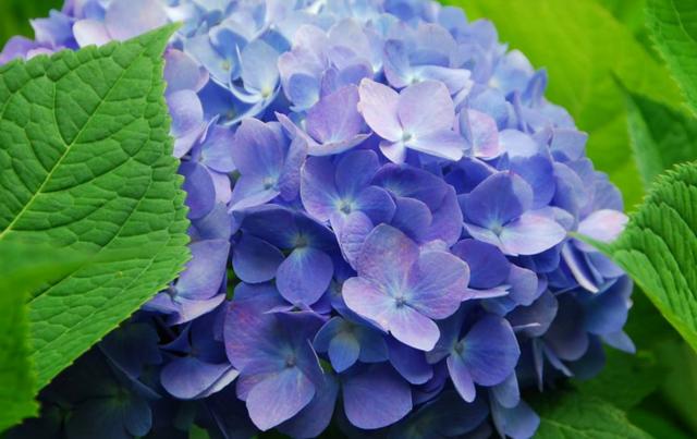 人間四月,揭秘家居空間“春之色” 人間四月,揭秘家居空間“春之色”