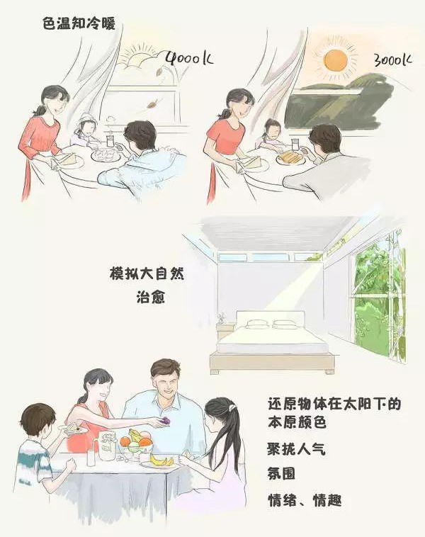 家里的筒燈、射燈、軌道燈,怎樣布局才合理? 家里的筒燈、射燈、軌道燈,怎樣布局才合理?